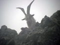 monte-resegone-07