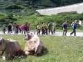 val-formazza-002